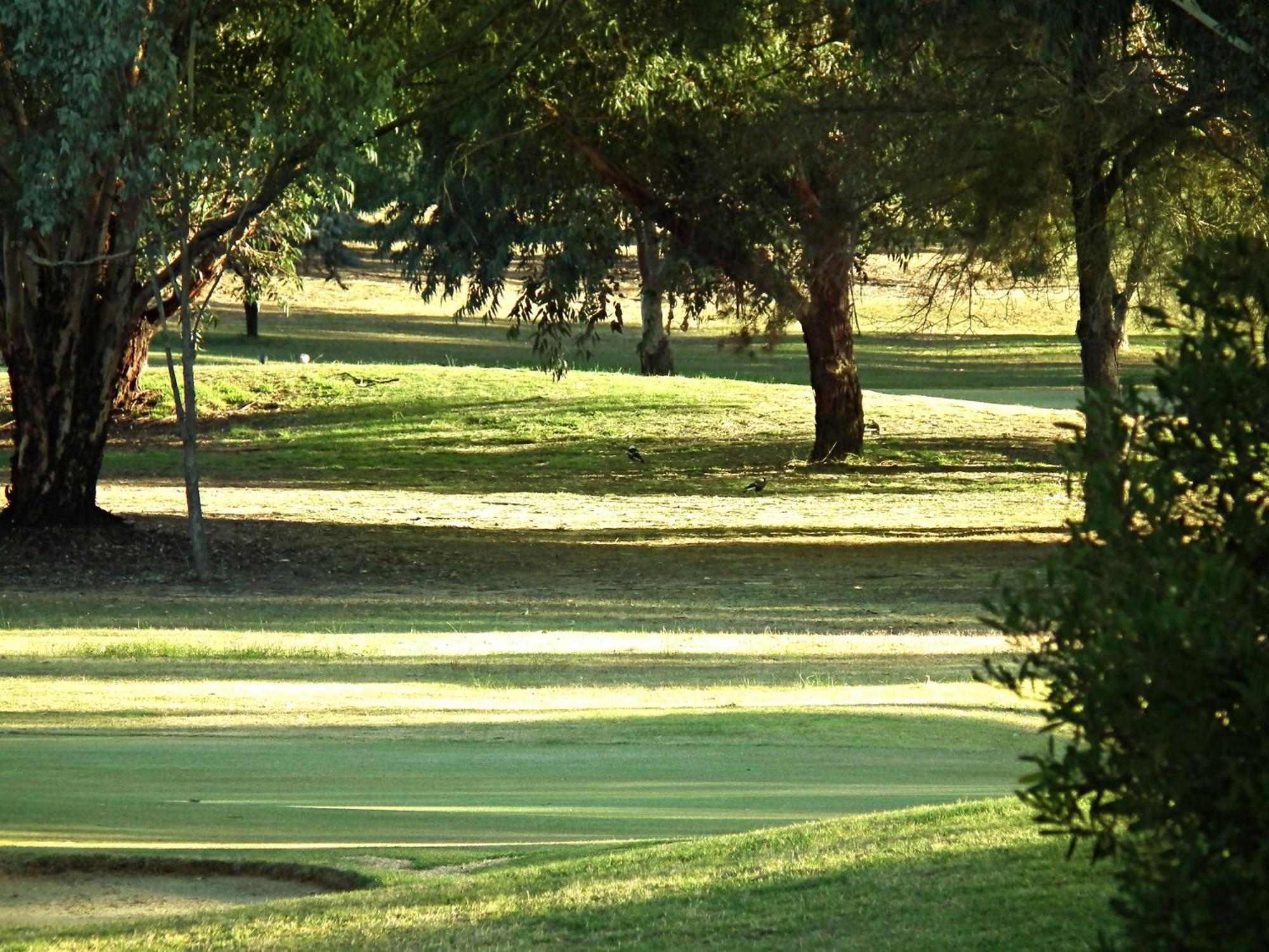 Cobram Barooga Golf Resort Стая снимка